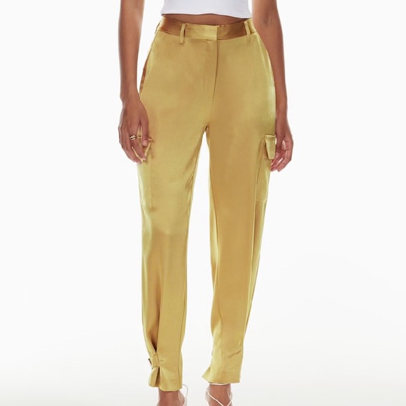 Aritzia Refined Satin Cargo Pant